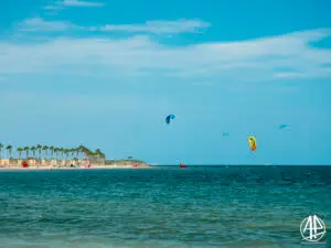 AxP-210824-_2062041(1)